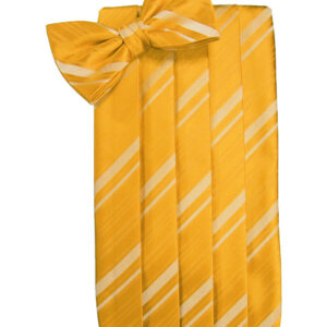 Tangerine Striped Cummerbund and Tie