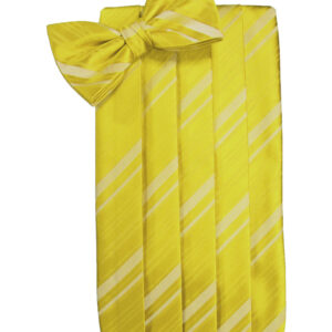 Willow Striped Cummerbund and Tie