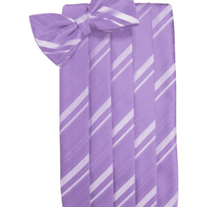 Wisteria Striped Cummerbund and Tie