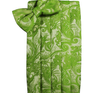 Clover Tapestry Cummerbund and Tie