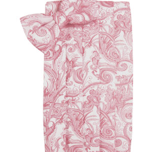 Coral Tapestry Cummerbund and Tie