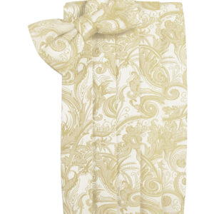 Golden Tapestry Cummerbund and Tie