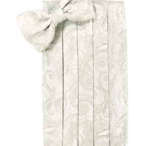 Ivory Tapestry Cummerbund and Tie