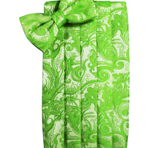 Kelly Tapestry Cummerbund and Tie