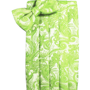 Lime Tapestry Cummerbund and Tie