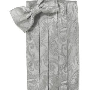 Platinum Tapestry Cummerbund and Tie