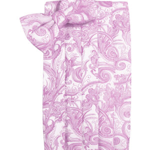 Rose petal Tapestry Cummerbund and Tie