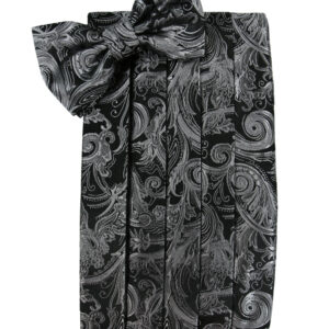 Silver Tapestry Cummerbund and Tie