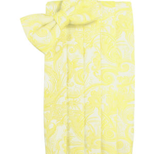 Sunbeam Tapestry Cummerbund and Tie
