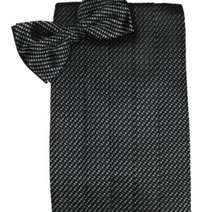 Asphalt Venetian Cummerbund and Tie