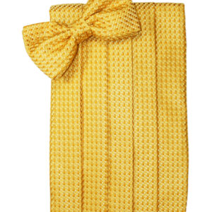Gold Venetian Cummerbund and Tie
