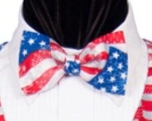 American Big Flag Bow tie