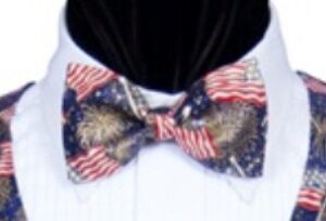American Flag and Fireworks Bow tie