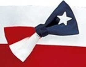American Texas Flag Bow tie
