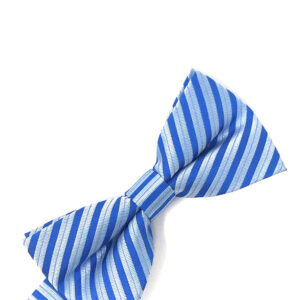 Blue Newton striped bow tie