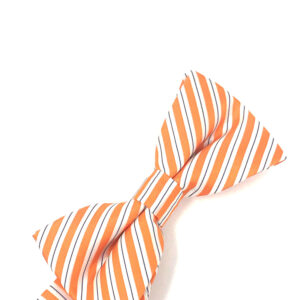 Orange Newton striped bow tie