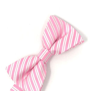 Newton Stripe Bows