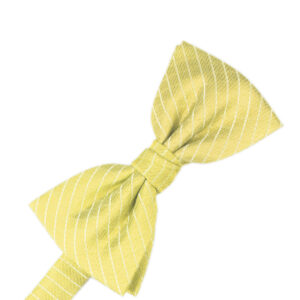 Buttercup Palermo Bow tie
