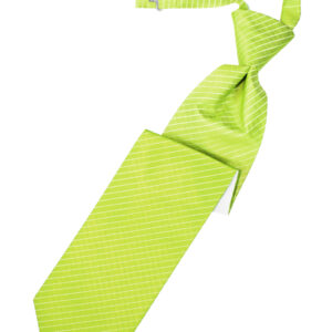 Lime Palermo Pretied Windsor