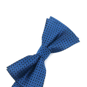 Blue Regal Bow tie
