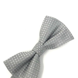 Silver Regal Bow tie
