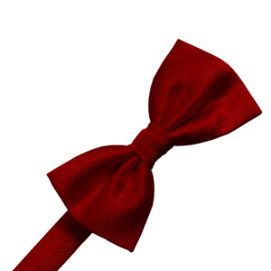 Silk Bows