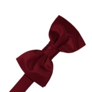 Apple Satin Bow tie