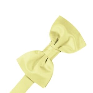 Banana Satin Bow tie