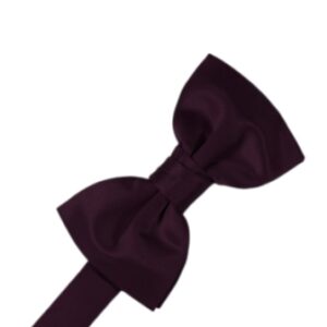 Berry Satin Bow tie
