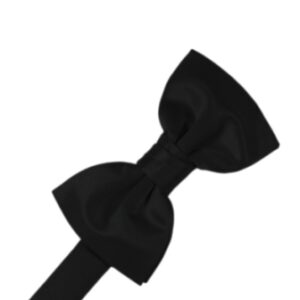 Black Satin Bow tie