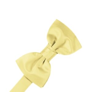 Canary Satin Bow tie
