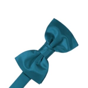 Oasis Satin Bow tie