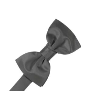 Pewter Satin Bow tie