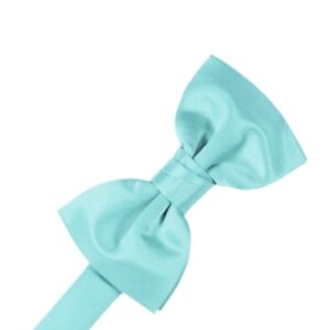 Pool Satin Bow tie