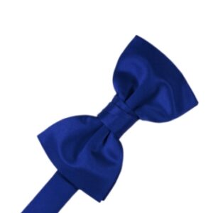 Royal Blue Satin Bow tie