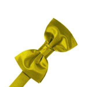Willow Solid Satin bow tie