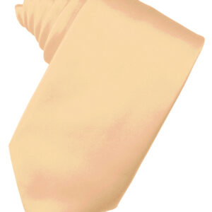 Apricot Solid Satin Self tie Windsor