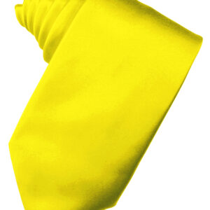 Sunbeam Solid Satin Self tie Windsor
