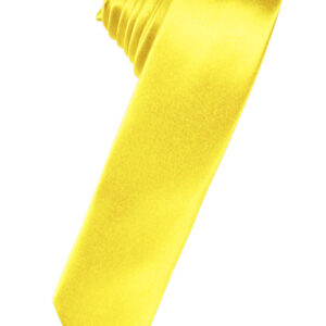 Sunbeam Solid Satin Skinny Windsor