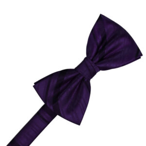 Amethyst Striped Satin Bow tie
