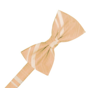 Apricot Striped Satin Bow tie