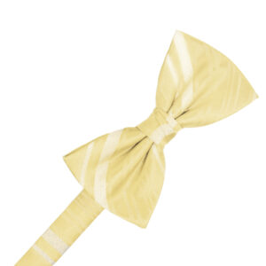 Banana Striped Satin Bow tie