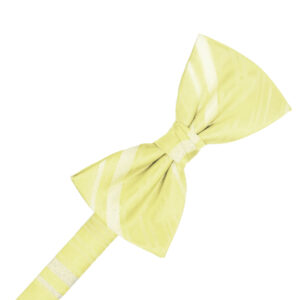 Canary Striped Satin Bow tie