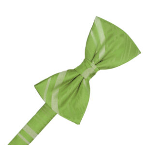 Clover Striped Satin Bow tie