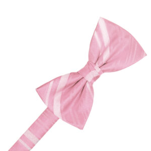 Coral Striped Satin Bow tie