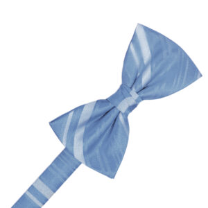 Cornflower Striped Satin Bow tie