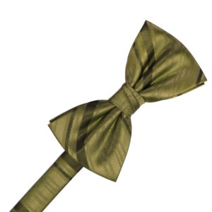 Fern Striped Satin Bow tie