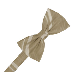 Latte Striped Satin Bow tie