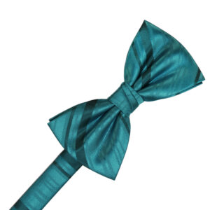 Oasis Striped Satin Bow tie