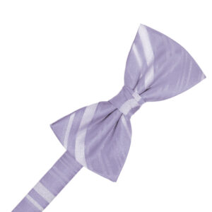 Periwinkle Striped Satin Bow tie